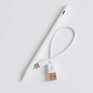 For Apple Pencil Stylus Pen 2nd Generation iPad/iPad Air/iPad Pro/iPad mini - Picture 1 of 6
