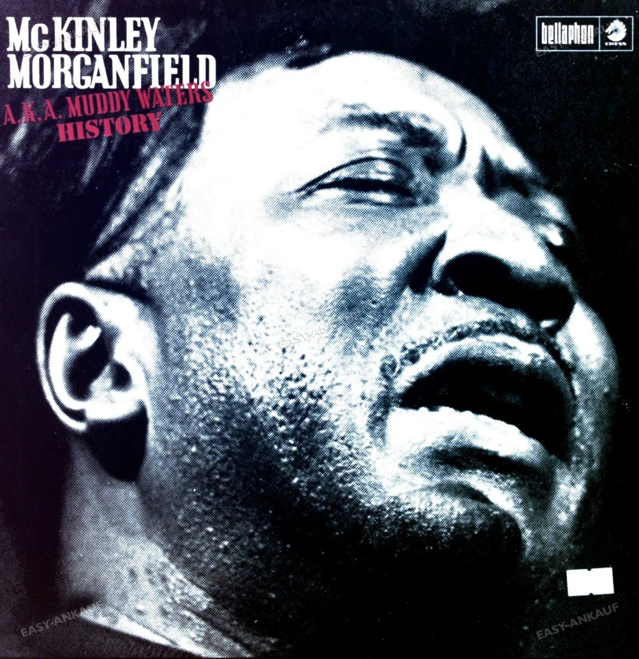 Muddy Waters - McKinley Morganfield A.K.A. Muddy Waters GER 2LP FOC . - Image 1 of 1