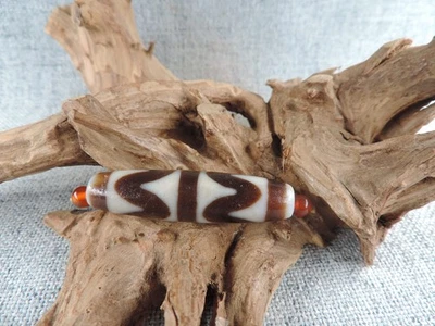 Colgante Amuleto Amuleto Tótem Diente de Tigre Ritual Tibetano Energ Vintage Ágata Dzi H3 Foto 1 de 4