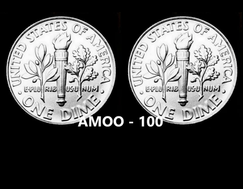 2020 P and D Uncirculated Roosevelt Dime 2 coin Set from Bank Rolls Cover