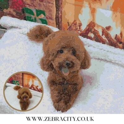 CUSTOM PAINT BY NUMBERS - CANVAS PRINTING - PERSONALISED GIFTS - Image 1 of 4