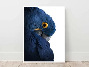 Blue Bird Parrot Minimalist Wall Art Print. Great Decor - Picture 1 of 5