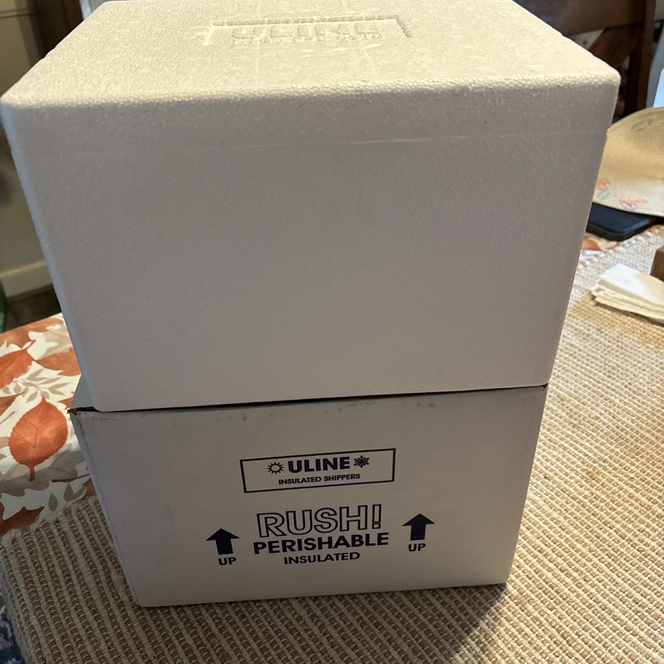 ULine Insulated Foam Shipper Cooler Meds Food Taxidermy  8”x6”x4.5” - Image 1 of 4