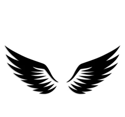 Calcomanía de vinilo Wings Flying Strength Cancer Survivor ventana carreras pegatina pista Foto 1 de 3