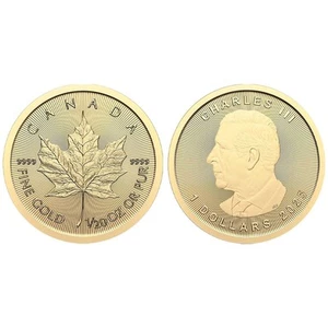 2025 $1 1/20-oz Gold Canadian Maple Leaf .9999 Brilliant Uncirculated - Picture 1 of 3