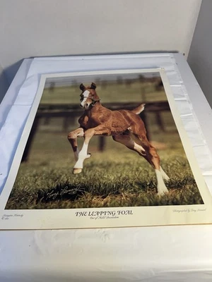 The Leaping Foal 1993 Tony Leonard Horse Print Lexington KY 12x14 arte vintage Foto 1 de 4