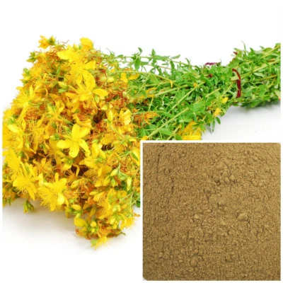 St. John's Wort powder, organic, soap making supplies, Natural colorant. - Image 1 of 4