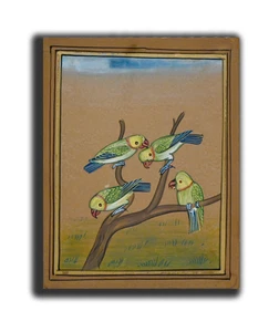 Group of Parrot Bird Handmade Miniature Painting 7.5 X 5.5 in "PN10518" - Picture 1 of 3