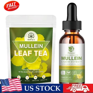 Natural Mullein Drops / Mullein Leaf Tea For Lung Cleanse Respiratory Health - Picture 1 of 16