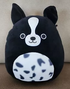 Squishmallow 10" ~ Monty the Border Collie! Ottime condizioni, senza etichetta - Foto 1 di 9