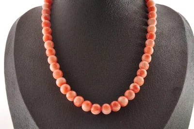 Vintage Angel skin coral  Necklace (17.3in 225.5ct) 925 silver clasp Certificate - Image 1 of 4