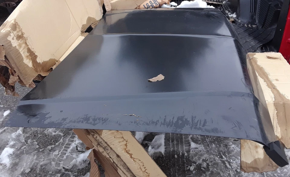 ✅TONG YANG PARA FORD 1987-1991 SERIE F/BRONCO HOOD FD-20027AQ Foto 1 de 4