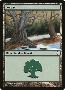 MTG Forest (#381) - Coldsnap Reprints #381 - Picture 1 of 1