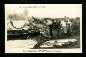 Exaggeration real photo postcard RPPC Kingsville, Canada Greetings fish fishing - Picture 1 of 2