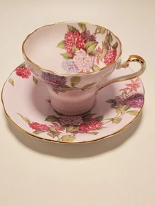 Vintage Ansley Hortensie Korsett Stil Englisch Bone China Teetasse & Untertasse Set - Bild 1 von 7