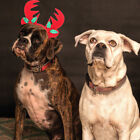  Pet Christmas Headgear Santa Clothes Collars Golden Short Necklace Dog