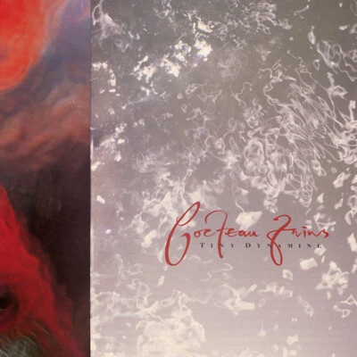 COCTEAU TWINS: TINY DYNAMINE/ECHOES IN A SHALLOW BAY (180gm UK Import)(4AD2021) - Image 1 of 2