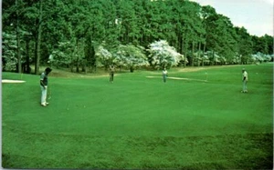 Vintage NC Postcard Par 4 14th Hole Mid Pines Club Pinehurst Golf Course - Picture 1 of 2