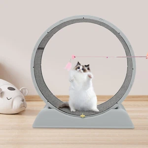 Rueda para gatos, gato rueda, gato rueda - Imagen 1 de 18
