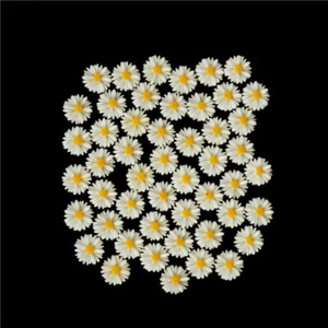 50pcs white daisy flower resin flatback cabochon DIY jewelry decoration JC-Z8 - Picture 1 of 5