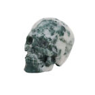 1,5" AGATE DE MOUSSE VERTE crâne en cristal sculpté cristal guérison réaliste