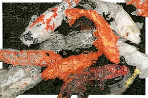 ""El Koi eléctrico de Kauai"" 20""X30"" estampado Giclee por Richard Lewis" - Imagen 1 de 1