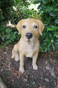 LABRADOR SITTING DOG PUPPY GIUDE DOG ANIMAL GARDEN STATUE ORNAMENT MEMORIAL - Picture 1 of 7