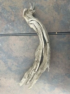 Natural Driftwood for Plants Terrarium Taxidermy Art Projects - Picture 1 of 4