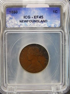 Terranova 1880 1c UN CENTAVO IVG EF 45 (BT1002) - Imagen 1 de 2