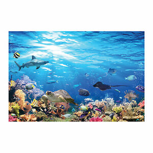 Outback VBS Reef Backdrop, Birthday, Party Decor, 2 Pieces