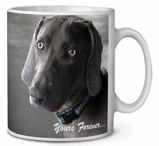 Mugs/Cups Weimaraner Collectables