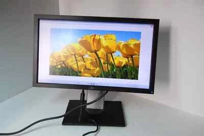 Dell Professional P2011H 20" Widescreen LED Monitor DVI VGA 2-Port USB Hub - Image 1 of 4