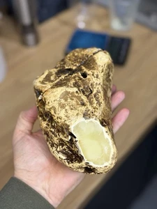 Natural Baltic Amber Stone High 735 grams Raw Tiger White Royal stone 琥珀色 العنبر - Picture 1 of 24