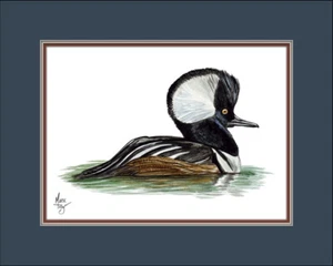 Hooded Merganser Duck Wildlife Canvas Art Print Various Border Matting Colors - Picture 1 of 13