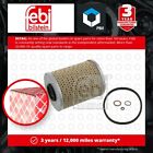 Oil Filter fits BMW 525 E34 2.5 90 to 96 11421130389 11421711560 11421711568 New