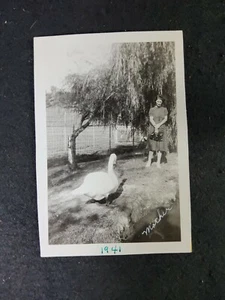 Vintage Press Photo Black & White Woman and White Duck 1941 3.5"x5"  - Picture 1 of 2