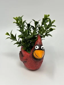 5" h Potted BABY CARDINAL Ruby Blob House Mini pot WITH faux Sage Boxwood plant, - Picture 1 of 6