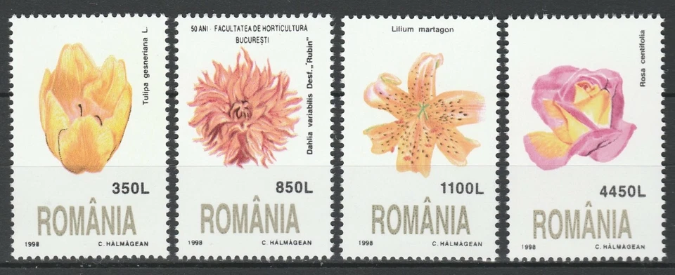 Romania 1998 Flowers 4 MNH stamps - Image 1 of 1