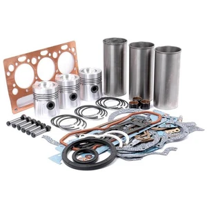 S.41885 Engine Overhaul Kit, Less Valve, Ad3.152 Fits Landini - Picture 1 of 5