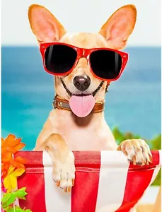 Diamond Painting Kits for Adults Kids Full Drill Round Diamond Sunglass 12"x16" - Picture 1 of 7
