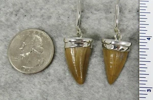 PENDIENTES DENTALES MOSASAURUS $89 Joyería de Plata Esterlina CREACIÓN ESTRELLA - Imagen 1 de 1