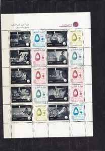 Qatar Al jazeera children channel supports pakistan earthquake mnh sheet - Picture 1 of 1