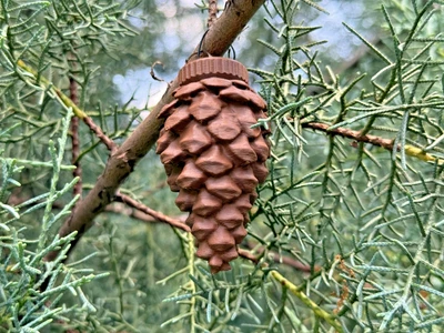 Contenitore geocaching pigna con tronchi/sacchetti/filo impermeabile geocache marrone cache - Immagine 1 di 4