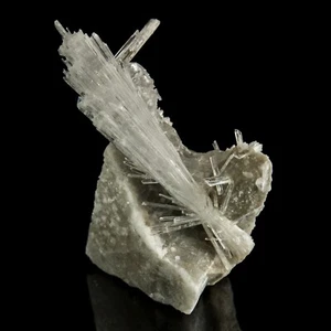 Hydroborazit mit Gips Harz, Thüringen, Deutschland 1317-03 - Bild 1 von 4