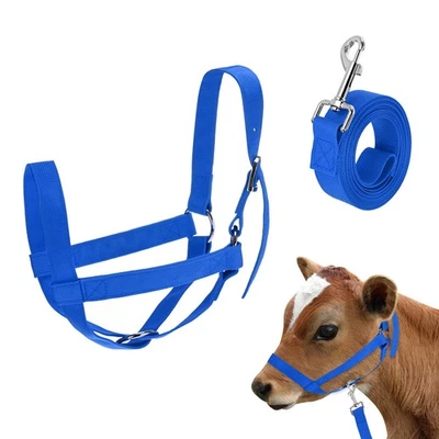 1-Pack Adjustable Cattle Cow Halter, 12.6"-18.9" with Lead Rope [Blue] - image 1 of 4