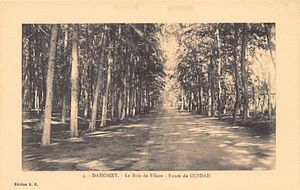 BENIN Dahomey - Ouidah Road - The Filao forest - Publ. E. R. 4 - - BÉNIN Dahomey - Picture 1 of 2