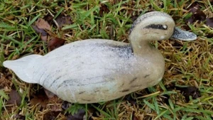 Vintage Duck Decoy, 1955 J.S. McGuire, Fairfax Featherlite  Plastic Decoy - Picture 1 of 6