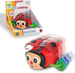 Early Learning – Crawl about Ladybug Musical Crawling Aid – Baby Toys & Gifts fo - Picture 1 of 12