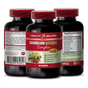 diurético y antiinflamatorio - RAÍZ DE DIENTE DE LEÓN 520MG - limpieza digestiva 1B - Imagen 1 de 9