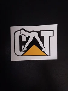 CAT Woman sticker /decal 4.25 X 3 Inches. Yellow/construction/hardhat - Picture 1 of 1